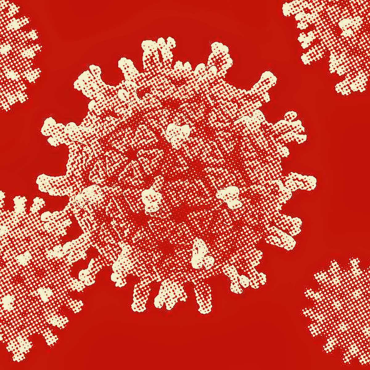 vírus SARS-CoV-2
