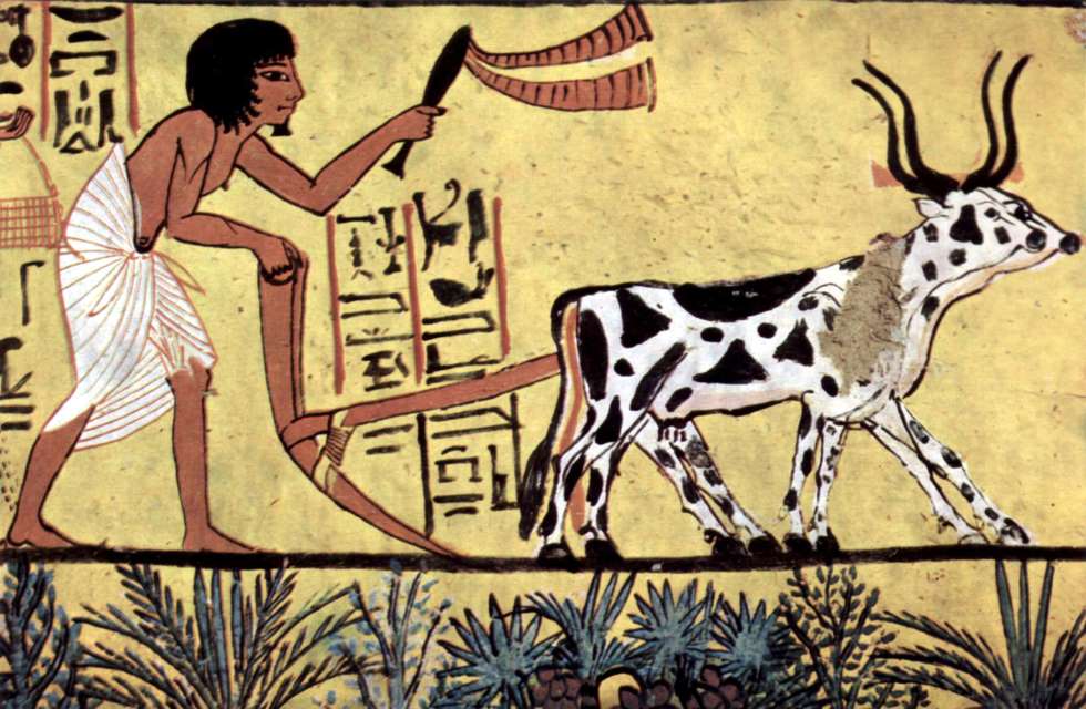 Mural egípcio com agricultor trabalhando