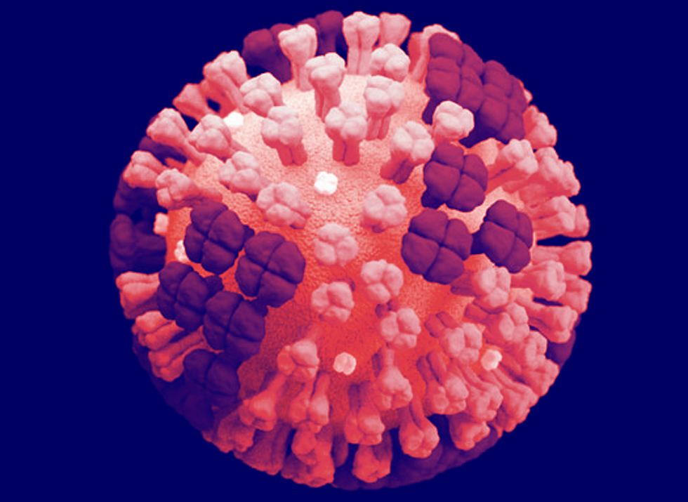 Vírus influenza