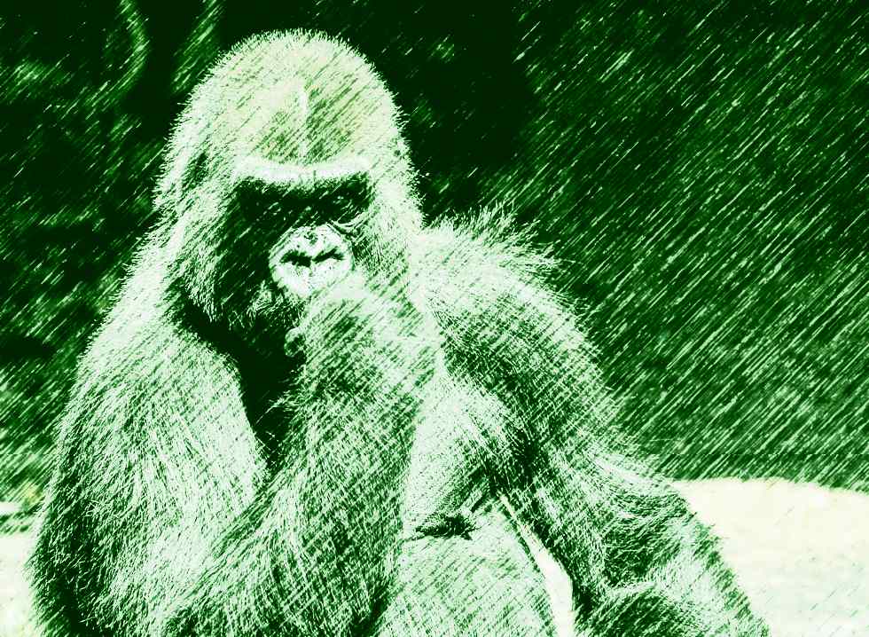 gorila green