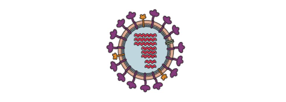 Genoma da gripe