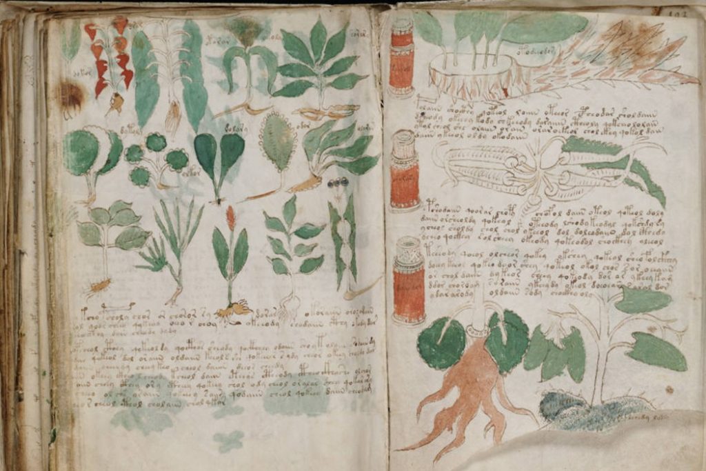 Páginas do Manuscrito Voynich