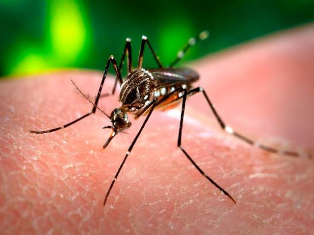 Desmonte da ciência ameaça o país