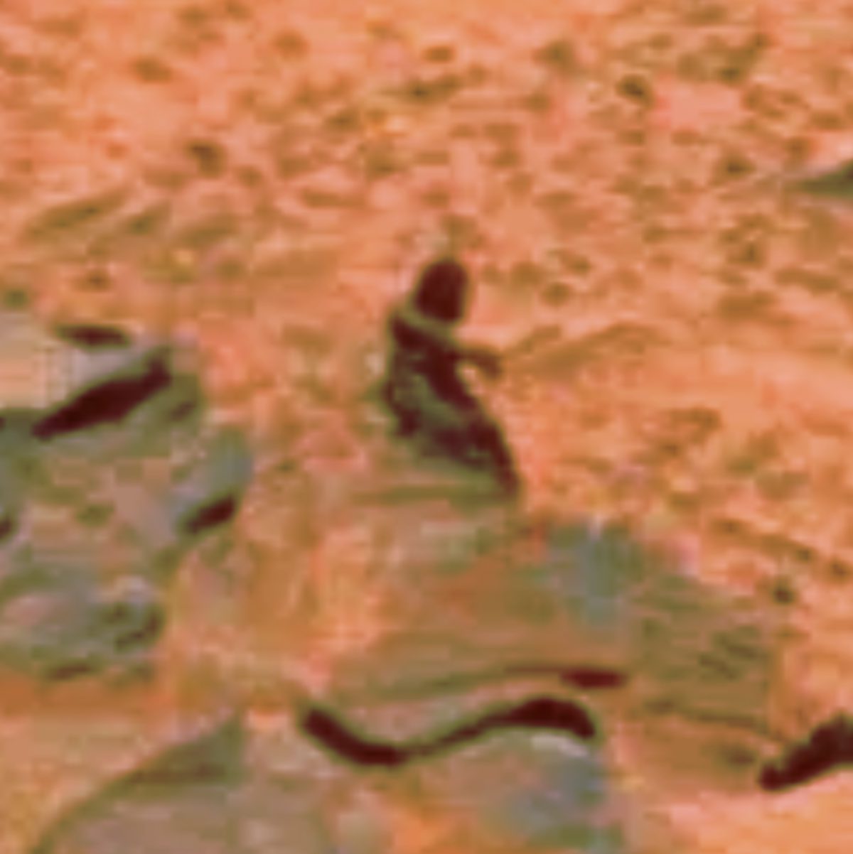 O "Pé-Grande" de Marte