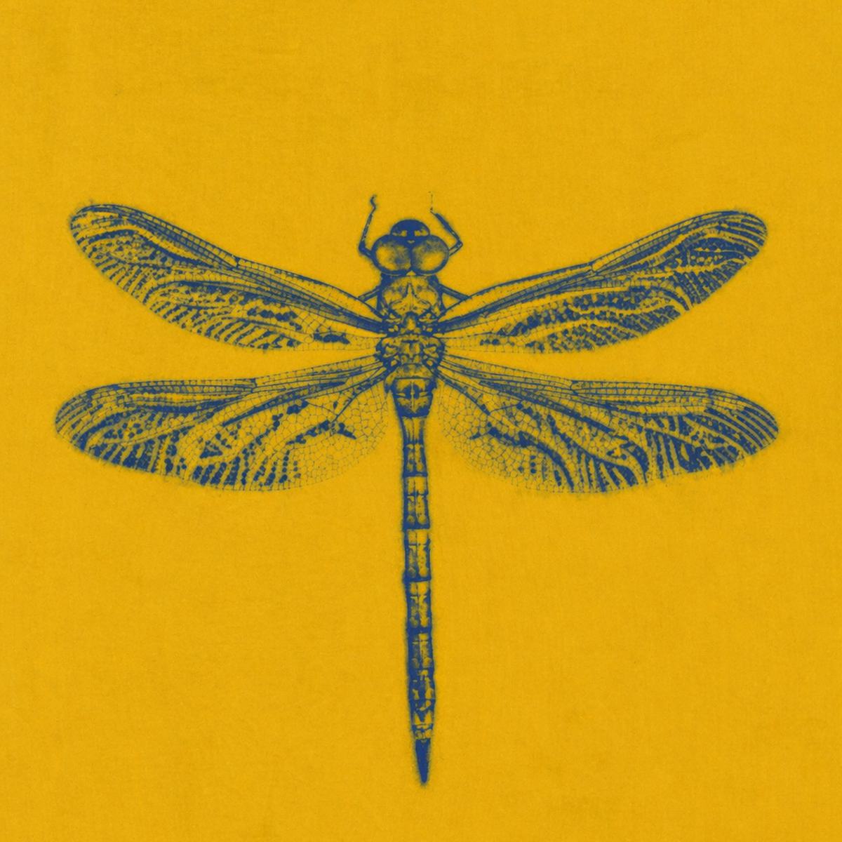 impressão de libélula