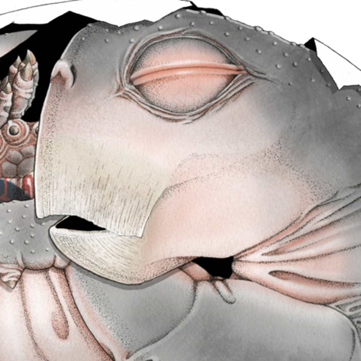 Ilustração de como embrião fossilizado teria sido em vida, criação de Sophie Vrard/PLoS ONE